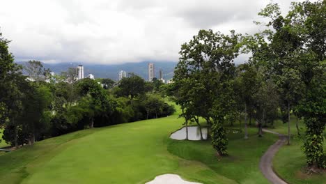 Golf-field-trees-bunker-green