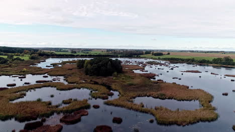 Flying over a marshy wetland with meadows and copse of trees along the horizon