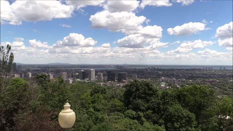 aerial drone view of vast landscape featuring mix of dense trees and city buildings in canada, stretching out under cloudy sky, capturing blend of urban development and natural greenery