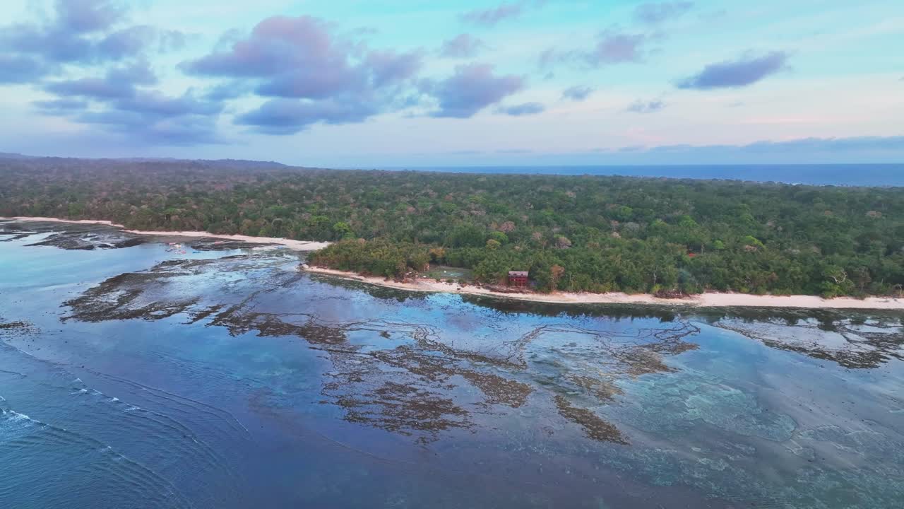 clip de avión no tripulado que se mueve hacia adelante a la espesa jungla, arrecife de coral y campamento de surf en el borde del parque nacional de alas purwo, java