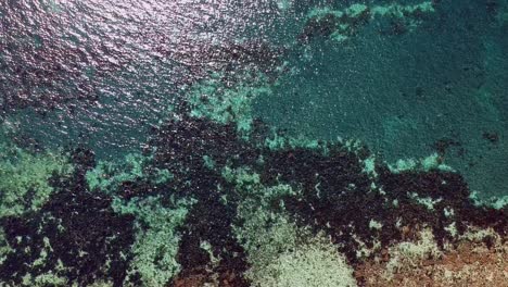 aerea drone edithburgh jetty sur de australia hd