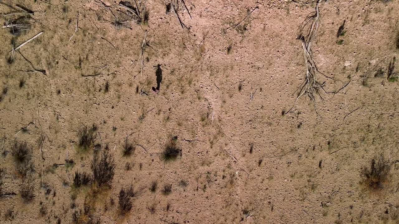 Lonely young woman walking through arid terrain adorned with dry shrubs and broken branches on a hot, sunny day