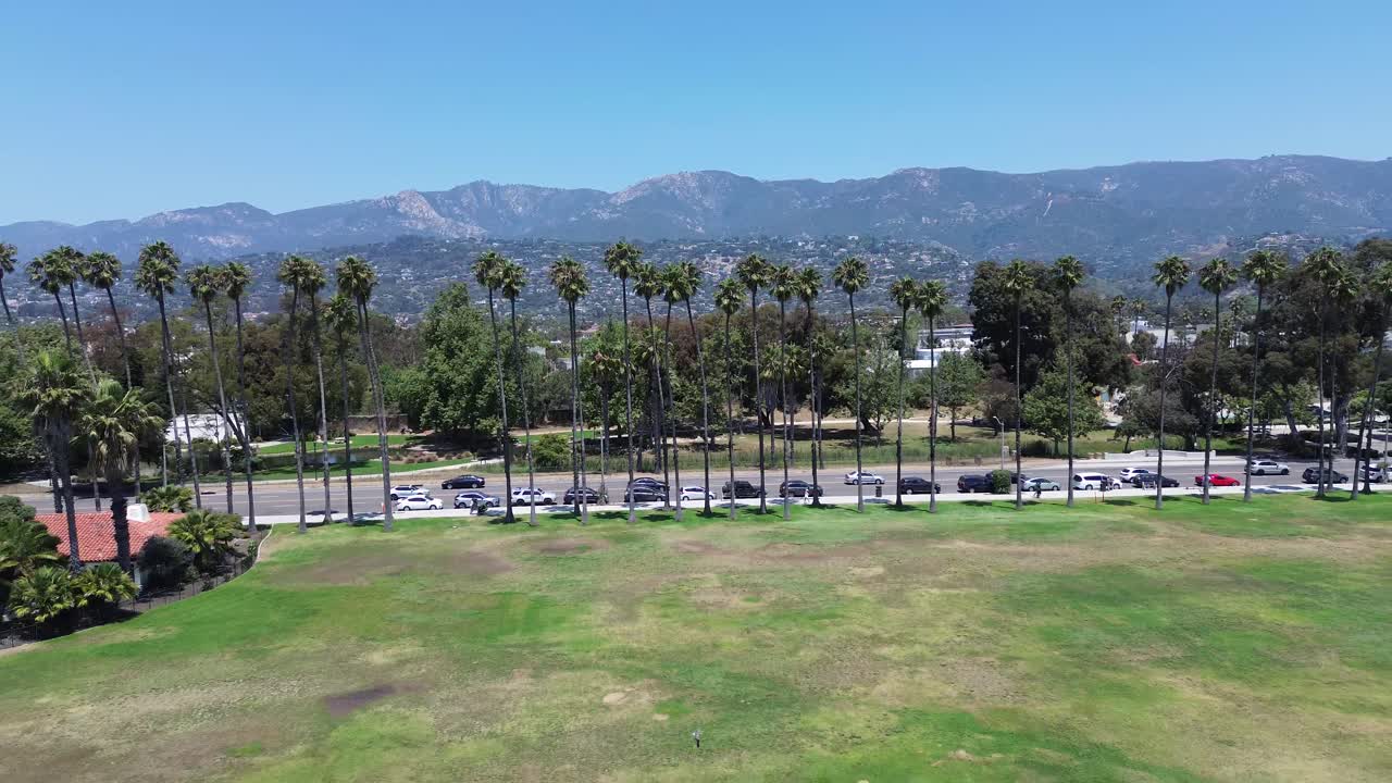 Beautiful Beach Day with Palm Trees and Mountains