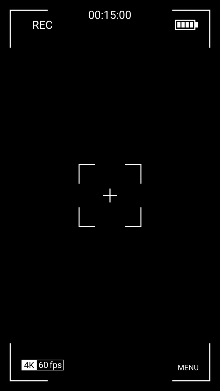Digital Camera Viewfinder Interface Overlay