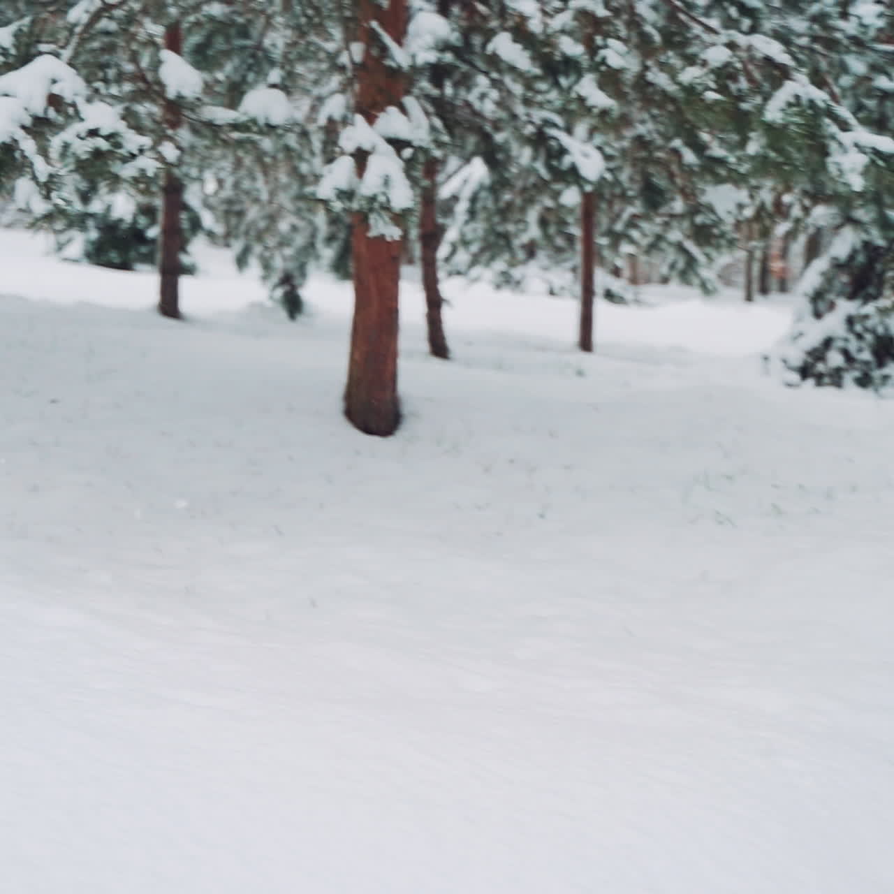 Kids play and jump in snowy forest. Toddler jumping on snowdrift. Child playing with snow in winter.