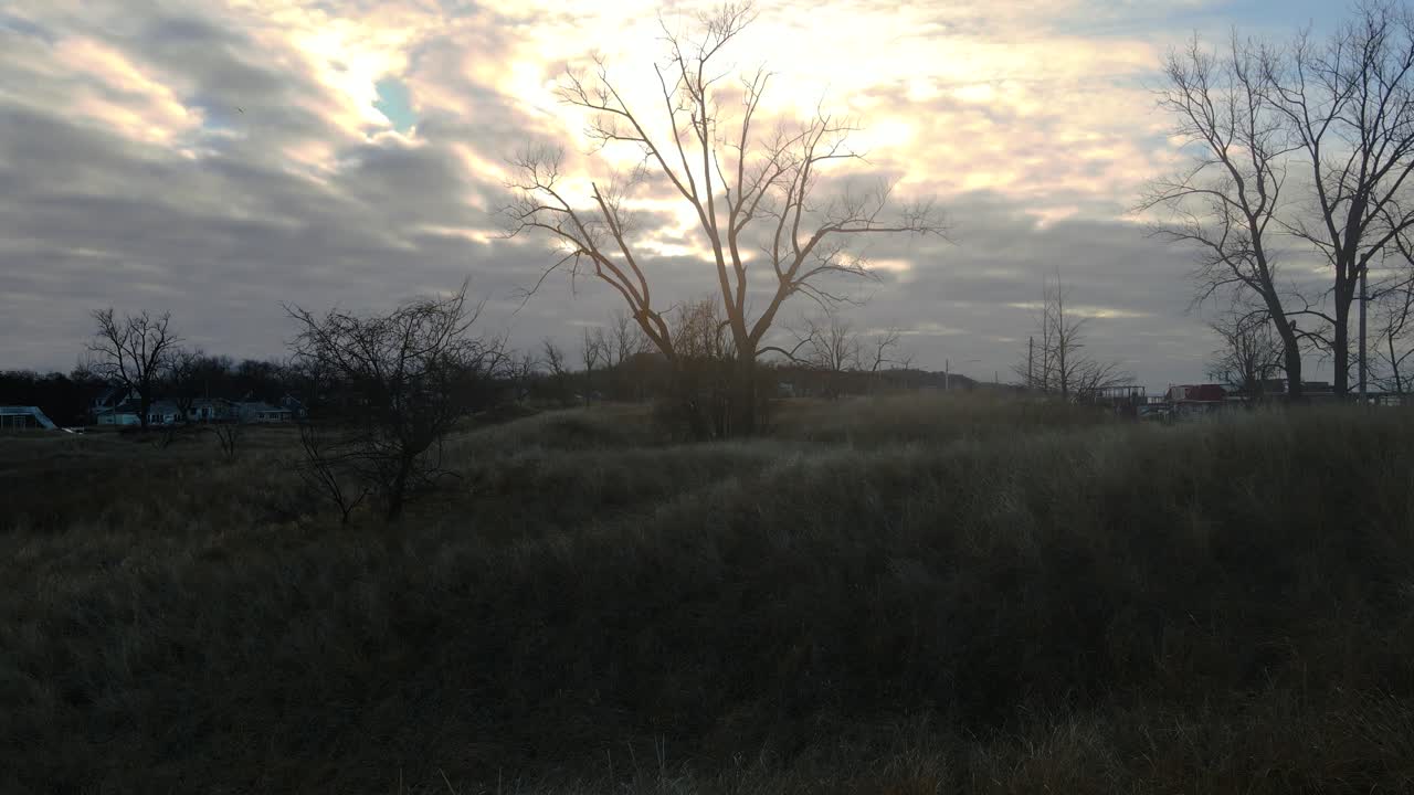 sol saliendo detrás de un árbol muerto en un día nublado