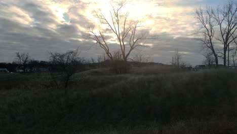 sun rising behind a dead tree on a cloudy day