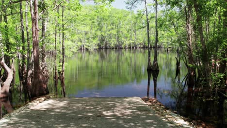 Taking-off-from-a-boat-ramp-in-onto-a-river-in-middle-of-dense-forest-of-cypress-trees