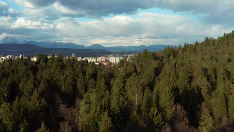 Atemberaubende-Landschaft-Der-Stadt-Ljubljana,-Slowenien-An-Einem-Bewölkten-Tag