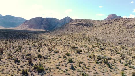 drone a través del desierto en un día soleado