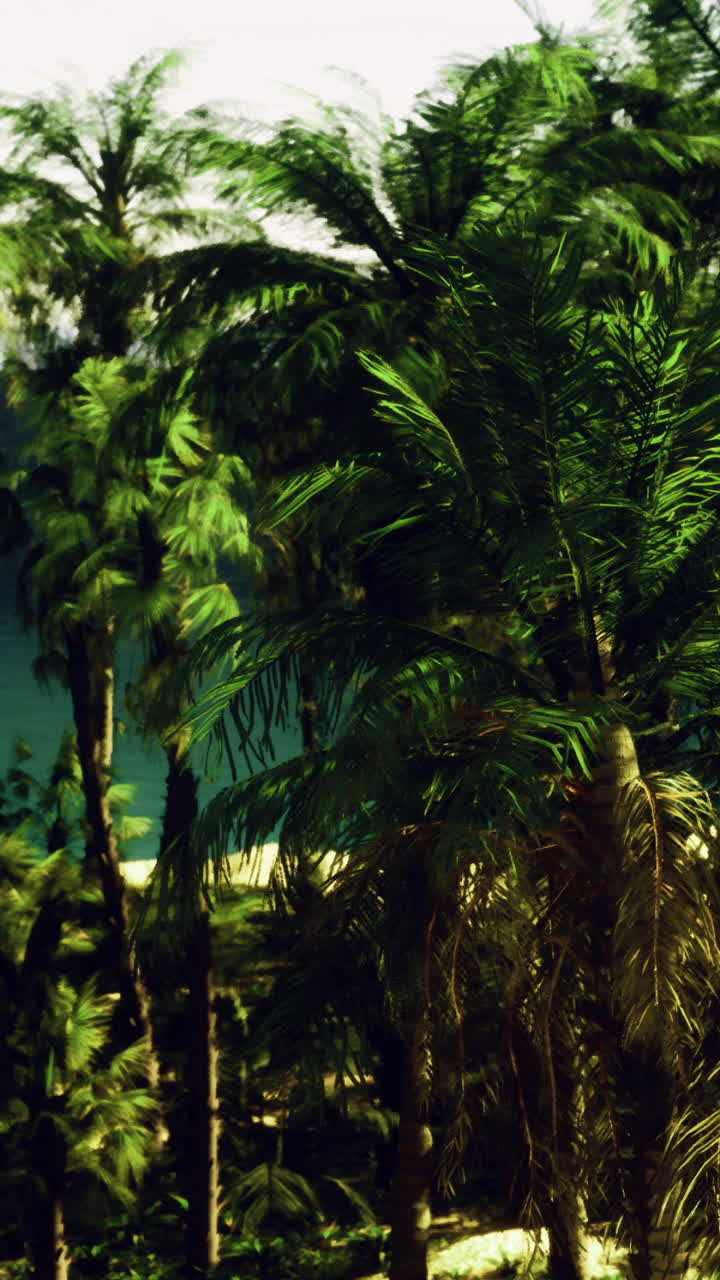 Lush palm trees line the tranquil beach under a clear blue sky