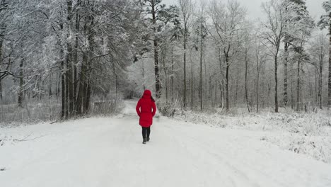 Mädchen-Im-Roten-Mantel,-Das-Während-Der-Wintersaison-Im-Wald-Spazieren-Geht