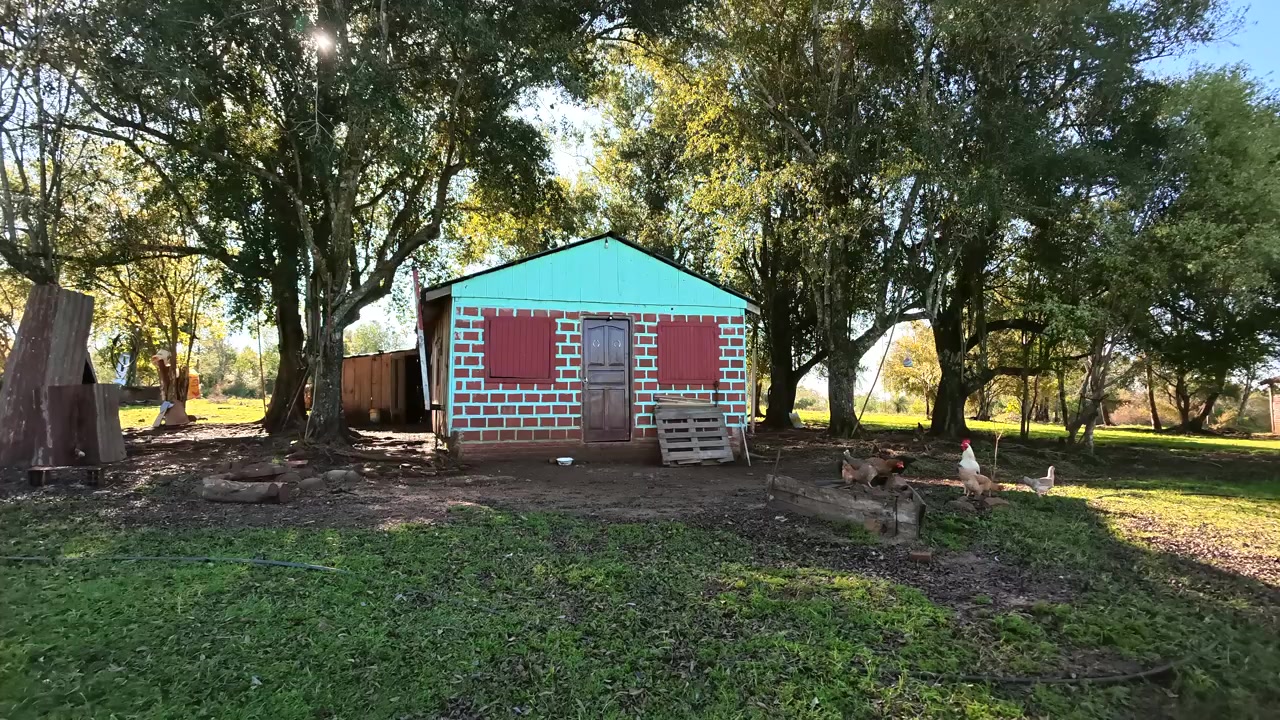 Piccola casa rurale colorata si trova tra alberi maturi e un prato aperto in una tranquilla proprietà di campagna.