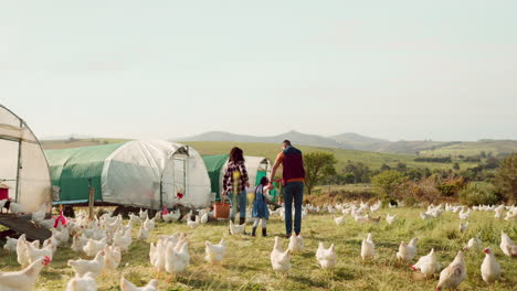 chicken, family farm and mother