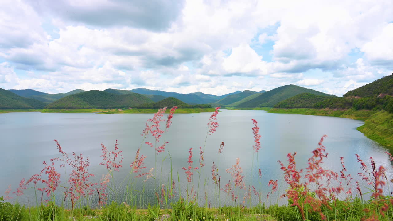 구름 하늘과 호수 계곡에 잔디 꽃을 불고 신선한 바람
