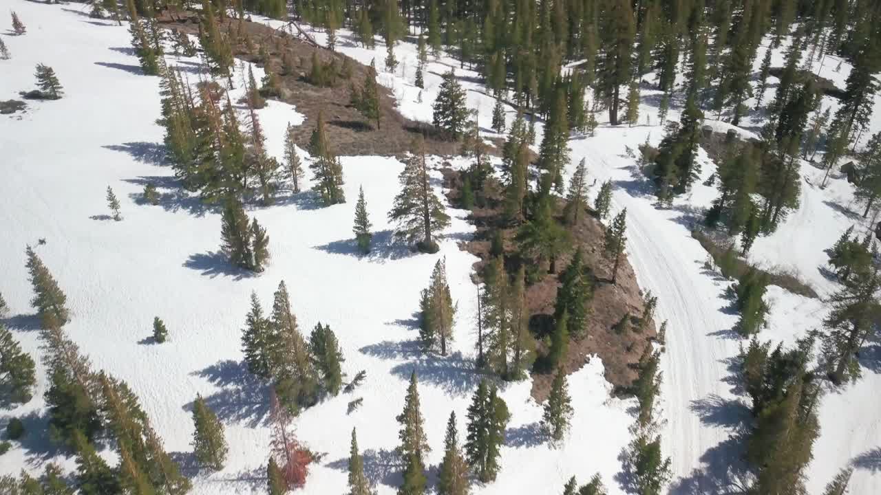 sobrevuelo aéreo hermoso bosque con inclinación lenta hacia arriba para revelar majestuosas montañas nevadas