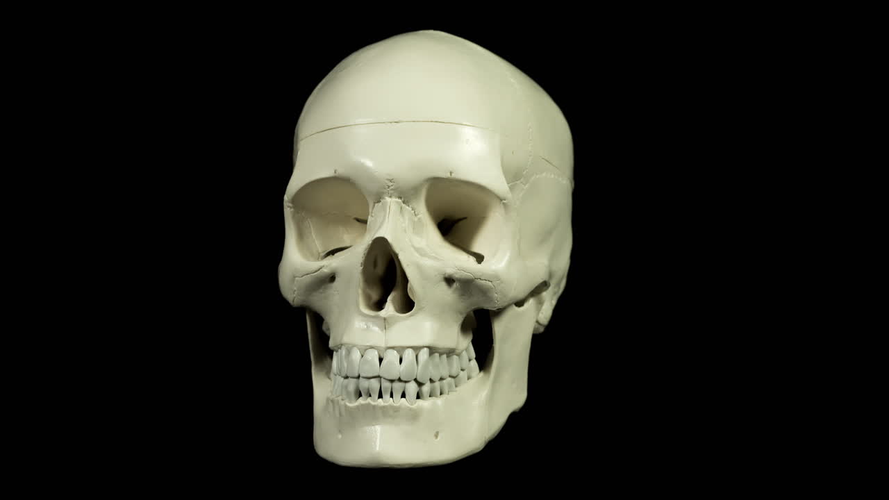 cranio umano che diventa nero