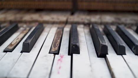 Closeup-of-Old-Broken-Piano-Keys-with-Pan,-Rotting-Wood