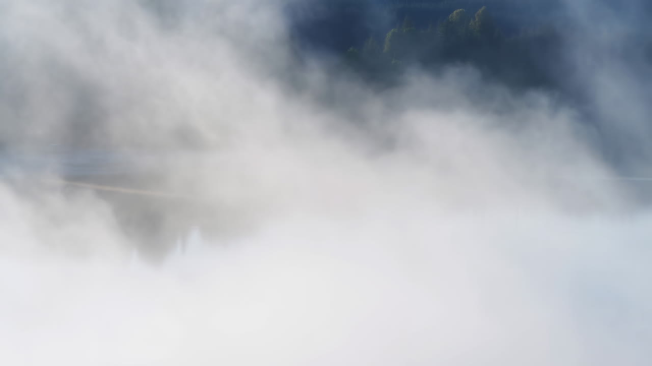 背景に木々がある湖を覆う濃い霧