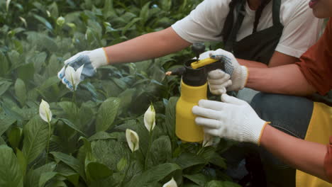 jardineros que trabajan en interiores