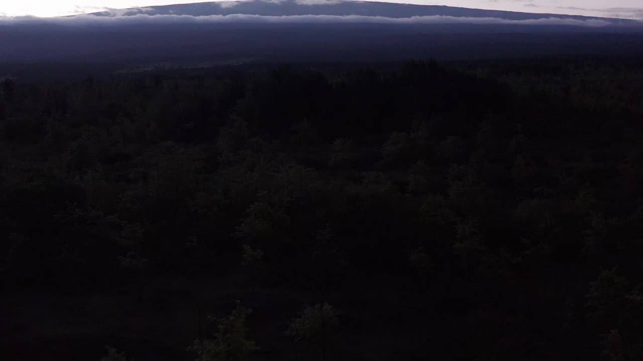 Low tilting up aerial shot over treetops to reveal Mauna Loa silhouetted against the sky at sunset in Hawai'i