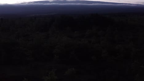 baja inclinación aérea sobre las copas de los árboles para revelar mauna loa silueta contra el cielo al atardecer en hawai