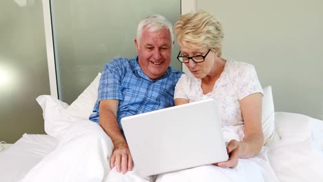 Pareja-Mayor-Usando-Laptop