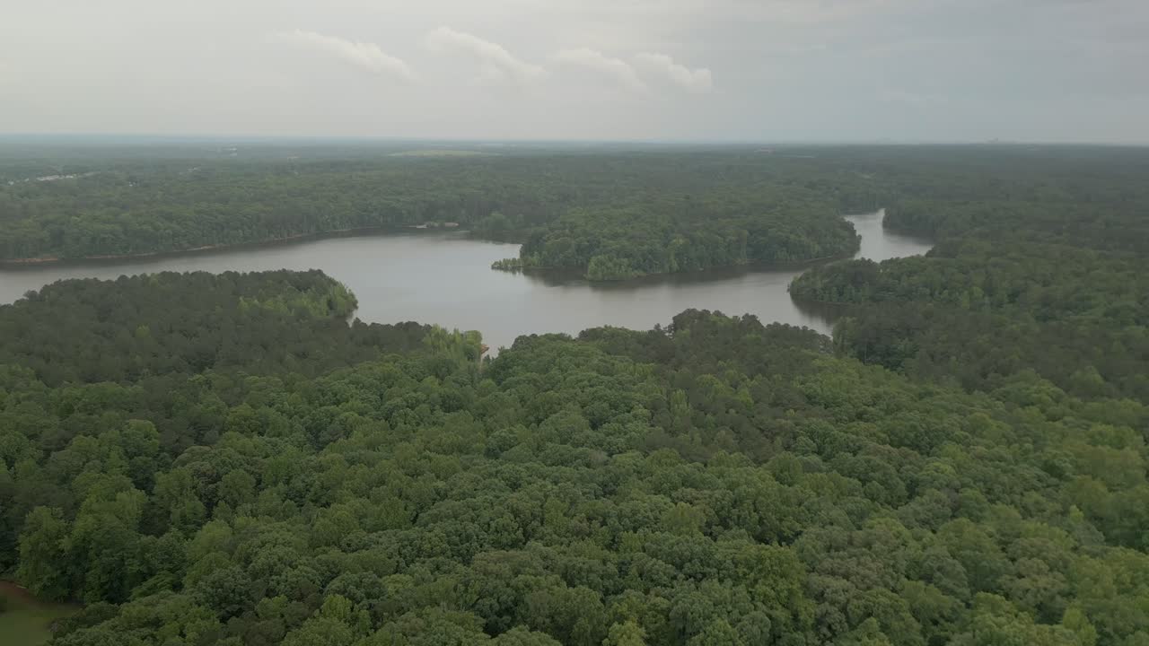 Cinematic Push In 4K Drone Tree Top in Forest at Lake
