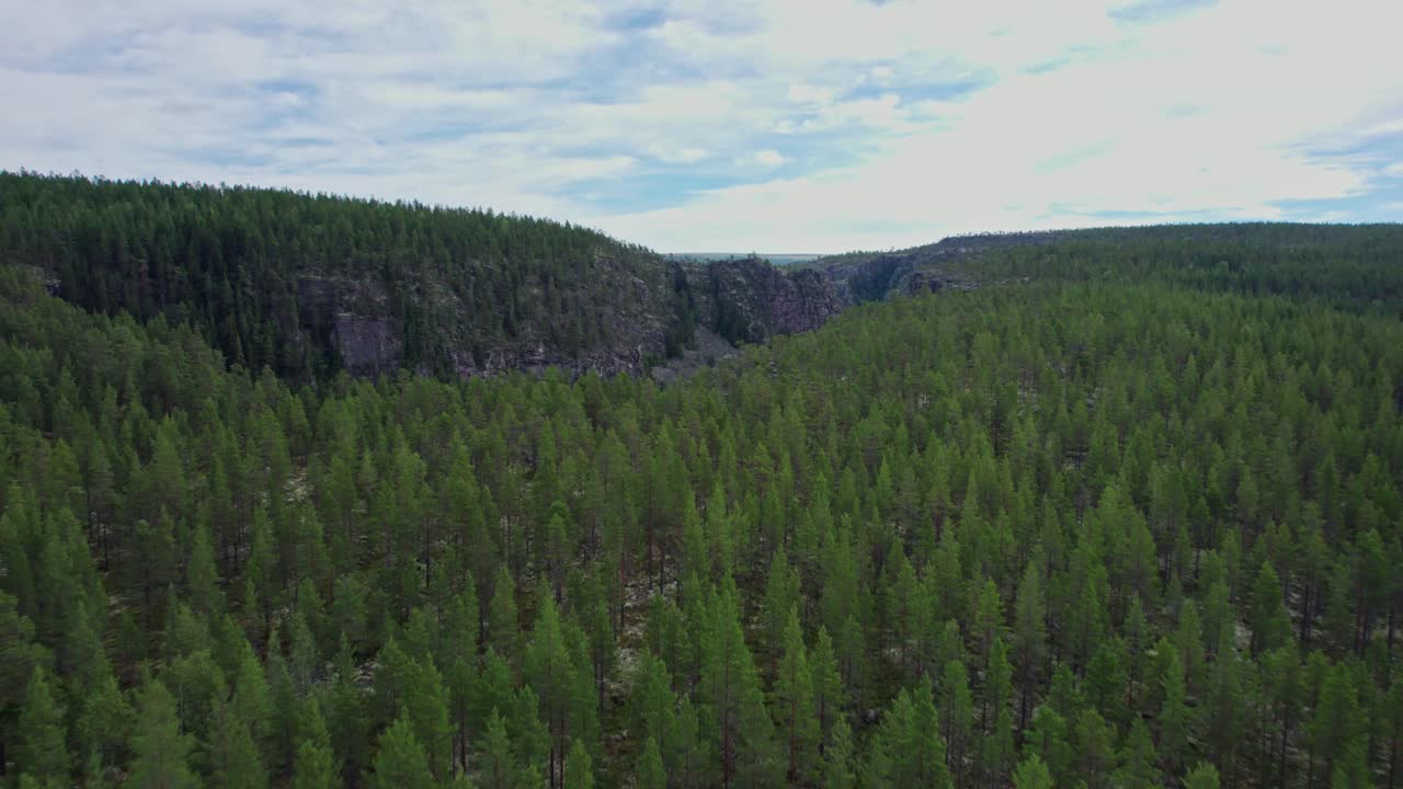 The forests around Norway's Jutulhogget canyon drop precipitously into the gulch