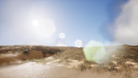 erg chebbi dunes in the sahara desert