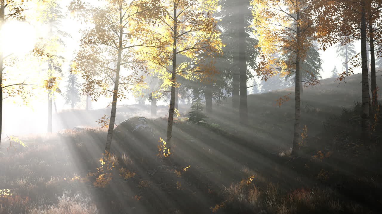 яркий ранний лес в горах