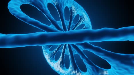 animación en 3d del crecimiento del adn.