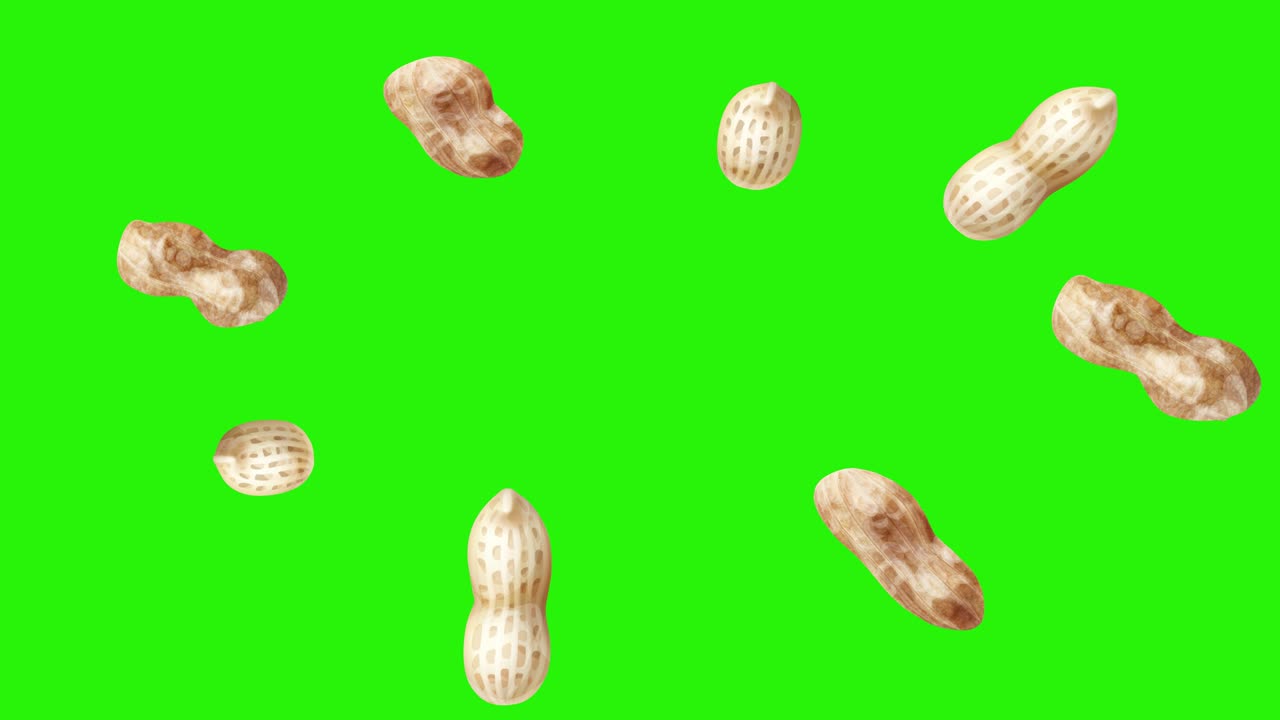 Peanuts animation group on green screen chroma key, graphic source elements