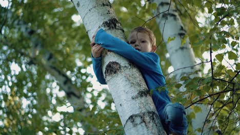 child climbs up the tree close up 1