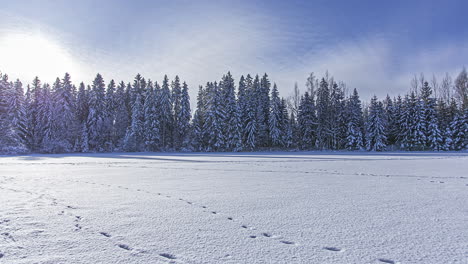 timelapse: frozen lake with snow covered forest