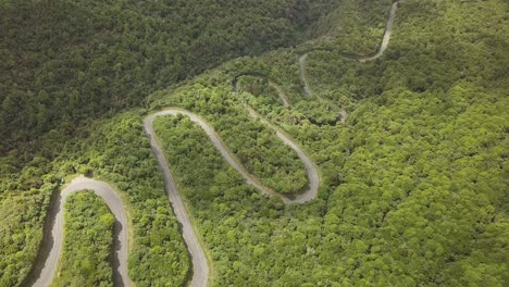 aerial view of winding road through lush green forest