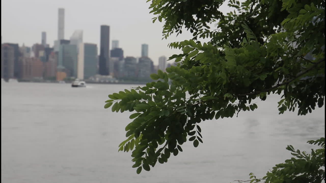 Cityscape with trees and river view