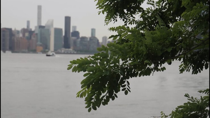 Cityscape with trees and river view