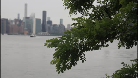 cityscape with trees and river view