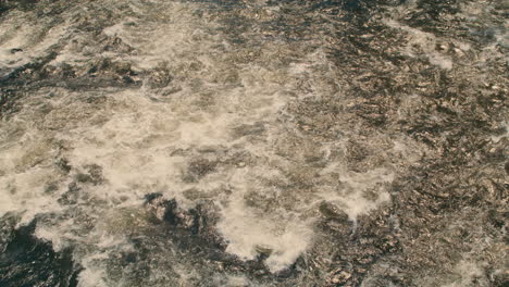 white river water flowing away from camera, aerial perspective, static shot, slow motion 40fps. summer afternoon light