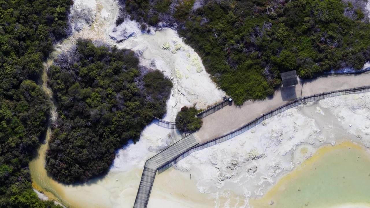 Boardwalk crosses pale geothermal terrain with mineral pools and dense vegetation near Rotorua, New Zealand