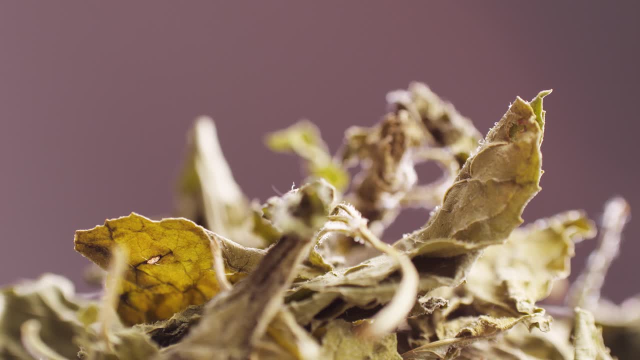 Dried Mint Leaves Close-Up