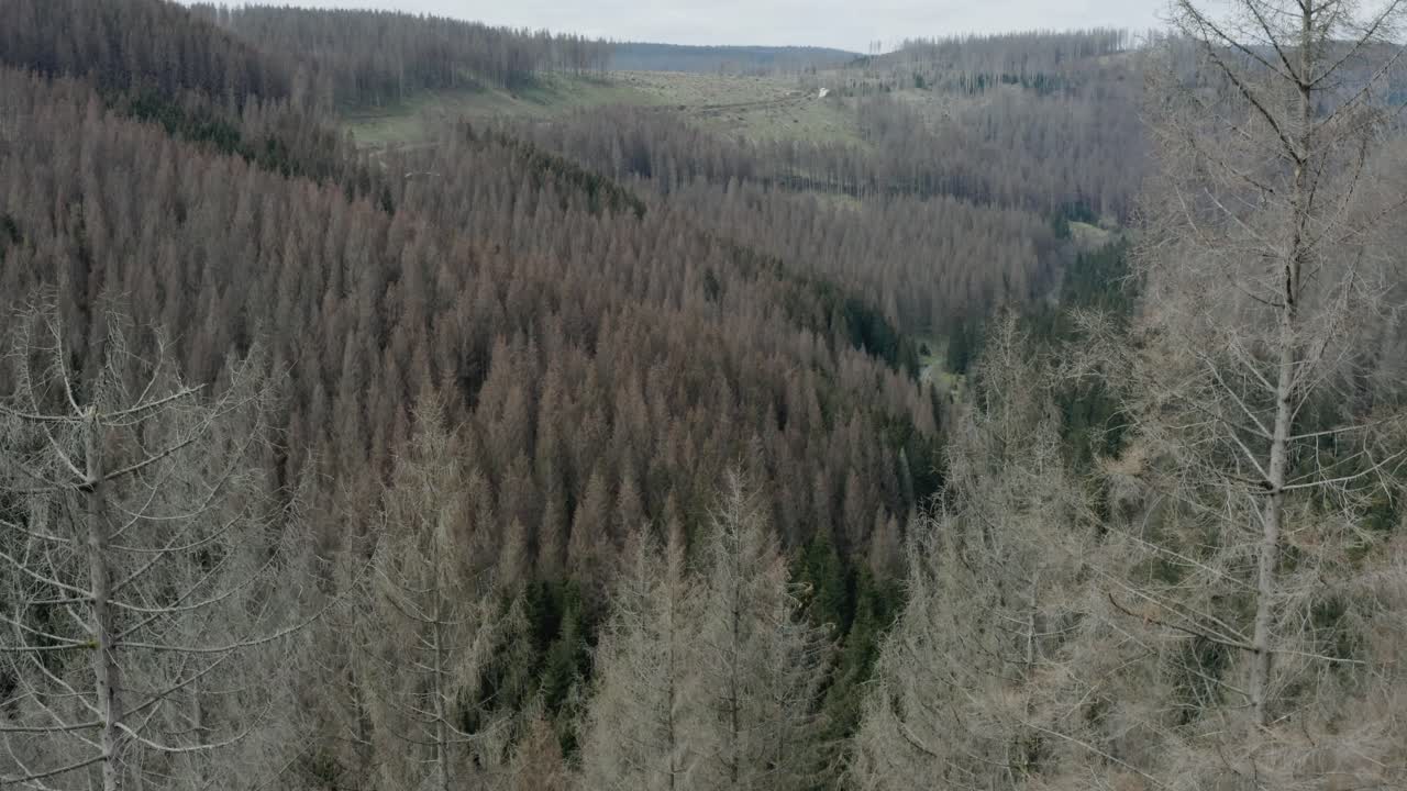 Ilmakuva Harzin kansallispuistosta Keski-Saksassa