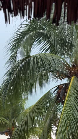 lluvia cayendo sobre las palmeras en un paraíso tropical