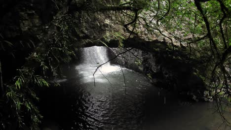 view of the waterfall in natural bridge, springbrook national park, gold coast hinterland, australia