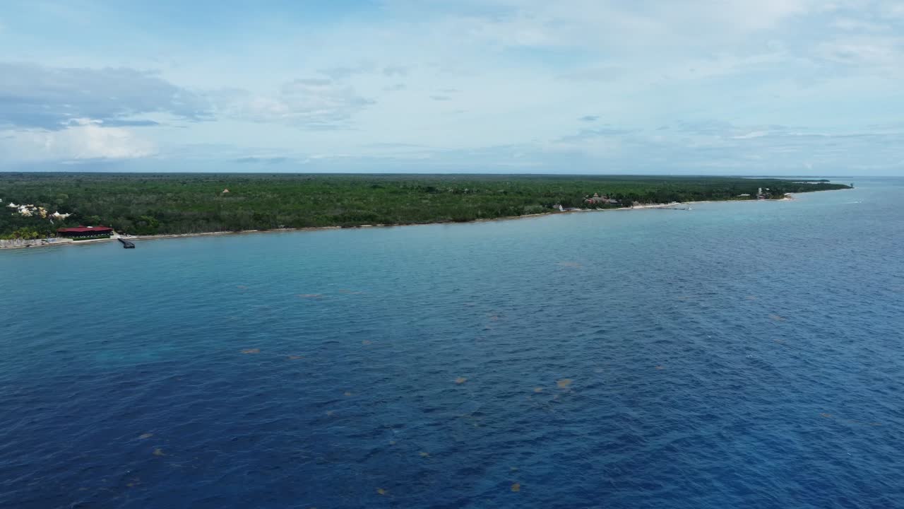 vista aérea de la tranquila costa de cozumel con exuberante vegetación y un barco en aguas azules