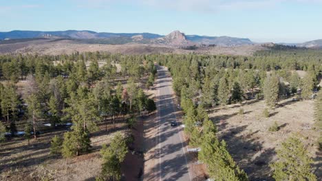 aerial drone view of the pike national forest and a vehicle driving along a remote mountain highway. forward dolly movement tracking a vehicle. filmed in the rocky mountains of colorado.