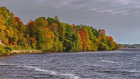 Timelapse-En-La-Orilla-Del-Río-Daugava-En-Daugavas-Loki-Letonia-Durante-El-Otoño