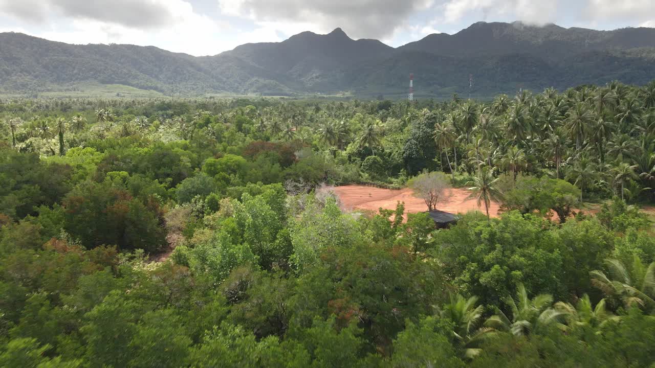 toma aérea de un dron de muñeca hacia atrás de un desmonte en la jungla despejada para el desarrollo con montañas y un bosque de manglares