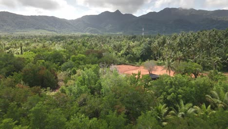 Aerial-backwards-dolly-drone-shot-of-a-land-clearing-in-the-jungle-cleared-for-development-with-mountains-and-a-mangrove-forest